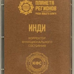 КФС «Инди»